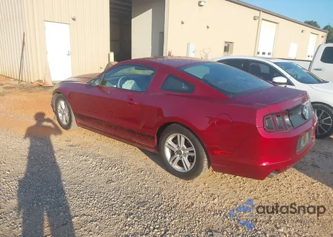 2014 Ford Mustang z USA, uszkodzony, nr VIN 1ZVBP8AMXE5240717